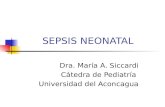 Sepsis neonatal 2012 (2)