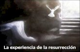 La Experiencia De La Resurreccion