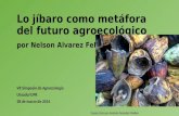 Lo jíbaro como métafora del futuro agroecológico en Puerto Rico, por Nelson Alvarez Febles
