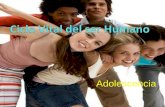 "Ciclo Vital y Adolescencia" Presentation O&M Resources