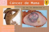 2. cancer mama listo