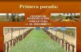 Madrid agrario