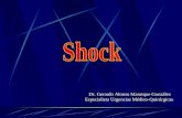 15 Shock Generalidades