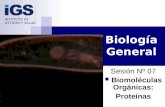 BiologíA General 2008   SesióN 07   BiomoléCulas OrgáNicas   Proteinas