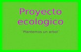 proyecto ecologico