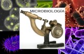 Tema 18 microbiologia
