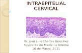 Neoplasia Intraepitelial Cervical