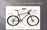 Bicicleta Montaña