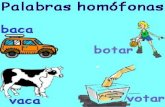 PALABRAS HOMÓFONAS