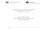 Guía 2011 evaluación de competencias docentes primaria