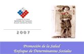 Enfoque Determinantes Sociales 2007