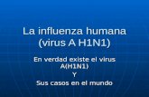 La Influenza Humana A(H1 N1)