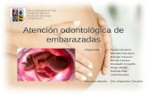 Atención Odontológica De Embarazadas