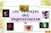 Ventajas Vegetarianismo