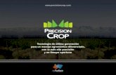 Mendoza Valley 3: Presentación de Precision Crop