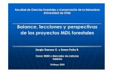 Balance, lecciones y perspectivas de los proyectos MDL forestales