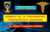 Enfermedad Fibroquística de la Mama - Dr. Mario J. Gamarra Paredes