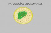 Patologias Lisosomales