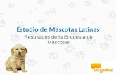 Estudio de Mascotas & Consumidores Latinos