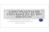 Caso Plantas de Celulosa, Rio Uruguay, CIJ