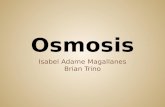 Osmosis y difucion