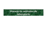 Manejo De Animales De Laboratorio