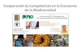 Cooperación y competencia en la economía de la biodiversidad