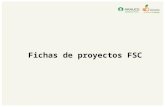 Fichas proyectos fsc para software v2
