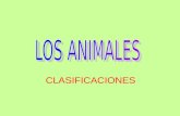 Animales: clasificaciones