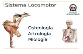 Clase 2 Osteo Artro Miol