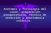AnatomíA Y FisiologíA Del Colon, PreparacióN Preoperatoria