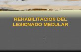 Rehabilitacion del lesionado_medular_(b)_vrtual