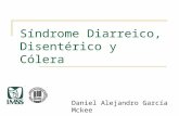 SíNdrome Diarreico, DisentéRico Y CóLera
