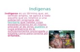 Tarea Indigenas 3b P..