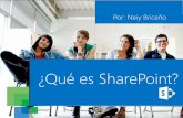 ¿Qué es SharePoint? ¿Es importante para tu negocio?