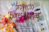 Flores Amigas 2010-2011