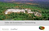 BusinessUp - Taller de Ecosistema y Networking