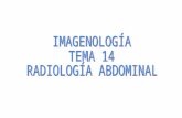 I tema 10 radiología abdominal