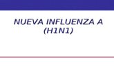Influenza HINI