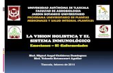 Vision holistica sistema inmune licenciatura naturopatia 2014