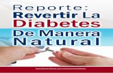 Reporte Revertir La Diabetes de Manera Natural | Descargar Gratis Revertir La Diabetes Pdf