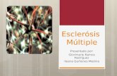 Esclerosis Multiple/Multiple Sclerosis/ MS