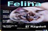 Revista VIDA FELINA -  1ra Edición
