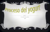 Proceso  del  yogurt
