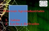 Procesos Agroindustriales Jabón y Productos de LEche