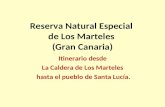 Camino en la Reserva Natural Especial de Los Marteles