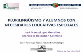PLURILINGÜISMO Y ALUMNOS CON NECESIDADES EDUCATIVAS ESPECIALES
