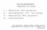 Bloguerasmus Jornadas Buenas Prácticas UPV/EHU 09