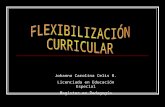 Flexibilizacion curricular