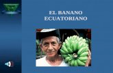 UTPL_Comunicación_El banano en el Ecuador y el Mundo